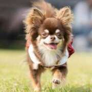 ヒメ日記 2025/07/30 09:15 投稿 志波 菜穂 30代40代50代と遊ぶなら博多人妻専科24時