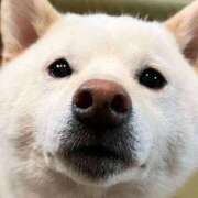 ヒメ日記 2025/08/04 20:04 投稿 志波 菜穂 30代40代50代と遊ぶなら博多人妻専科24時