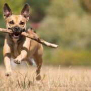 ヒメ日記 2025/08/06 09:15 投稿 志波 菜穂 30代40代50代と遊ぶなら博多人妻専科24時