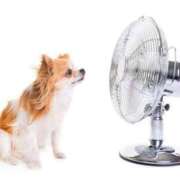 ヒメ日記 2025/08/07 21:05 投稿 志波 菜穂 30代40代50代と遊ぶなら博多人妻専科24時