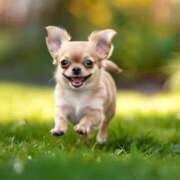 ヒメ日記 2025/08/09 09:15 投稿 志波 菜穂 30代40代50代と遊ぶなら博多人妻専科24時