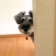 ヒメ日記 2025/08/10 09:15 投稿 志波 菜穂 30代40代50代と遊ぶなら博多人妻専科24時