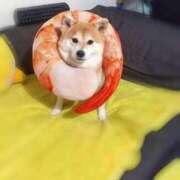 ヒメ日記 2025/08/18 22:10 投稿 志波 菜穂 30代40代50代と遊ぶなら博多人妻専科24時