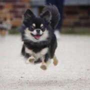 ヒメ日記 2025/08/21 09:15 投稿 志波 菜穂 30代40代50代と遊ぶなら博多人妻専科24時