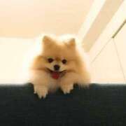 ヒメ日記 2025/08/23 09:01 投稿 志波 菜穂 30代40代50代と遊ぶなら博多人妻専科24時