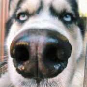 ヒメ日記 2025/08/25 13:54 投稿 志波 菜穂 30代40代50代と遊ぶなら博多人妻専科24時