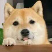 ヒメ日記 2025/08/27 09:15 投稿 志波 菜穂 30代40代50代と遊ぶなら博多人妻専科24時