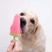 ヒメ日記 2025/08/28 18:58 投稿 志波 菜穂 30代40代50代と遊ぶなら博多人妻専科24時