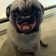 ヒメ日記 2025/08/29 08:30 投稿 志波 菜穂 30代40代50代と遊ぶなら博多人妻専科24時