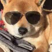 ヒメ日記 2025/08/30 08:30 投稿 志波 菜穂 30代40代50代と遊ぶなら博多人妻専科24時