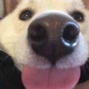 ヒメ日記 2025/09/02 19:53 投稿 志波 菜穂 30代40代50代と遊ぶなら博多人妻専科24時