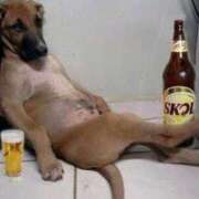 ヒメ日記 2025/09/05 20:37 投稿 志波 菜穂 30代40代50代と遊ぶなら博多人妻専科24時