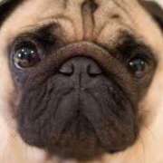 ヒメ日記 2025/09/08 13:52 投稿 志波 菜穂 30代40代50代と遊ぶなら博多人妻専科24時