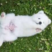 ヒメ日記 2025/09/12 09:30 投稿 志波 菜穂 30代40代50代と遊ぶなら博多人妻専科24時