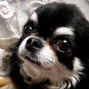 ヒメ日記 2025/09/19 13:43 投稿 志波 菜穂 30代40代50代と遊ぶなら博多人妻専科24時