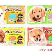 ヒメ日記 2025/09/22 23:09 投稿 志波 菜穂 30代40代50代と遊ぶなら博多人妻専科24時
