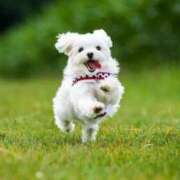 ヒメ日記 2025/09/23 10:31 投稿 志波 菜穂 30代40代50代と遊ぶなら博多人妻専科24時