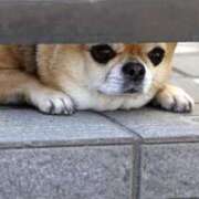 ヒメ日記 2025/09/23 11:57 投稿 志波 菜穂 30代40代50代と遊ぶなら博多人妻専科24時