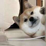 ヒメ日記 2025/09/24 08:15 投稿 志波 菜穂 30代40代50代と遊ぶなら博多人妻専科24時