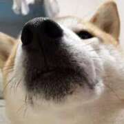 ヒメ日記 2025/09/25 12:59 投稿 志波 菜穂 30代40代50代と遊ぶなら博多人妻専科24時