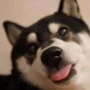 ヒメ日記 2025/10/01 10:31 投稿 志波 菜穂 30代40代50代と遊ぶなら博多人妻専科24時