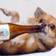 ヒメ日記 2025/10/07 19:48 投稿 志波 菜穂 30代40代50代と遊ぶなら博多人妻専科24時