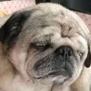 ヒメ日記 2025/10/09 09:30 投稿 志波 菜穂 30代40代50代と遊ぶなら博多人妻専科24時