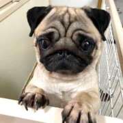 ヒメ日記 2025/10/18 10:24 投稿 志波 菜穂 30代40代50代と遊ぶなら博多人妻専科24時