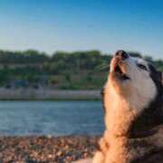 ヒメ日記 2025/10/20 13:52 投稿 志波 菜穂 30代40代50代と遊ぶなら博多人妻専科24時