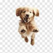 ヒメ日記 2025/10/22 09:15 投稿 志波 菜穂 30代40代50代と遊ぶなら博多人妻専科24時