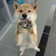 ヒメ日記 2025/10/27 18:02 投稿 志波 菜穂 30代40代50代と遊ぶなら博多人妻専科24時