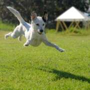 ヒメ日記 2025/10/29 09:15 投稿 志波 菜穂 30代40代50代と遊ぶなら博多人妻専科24時