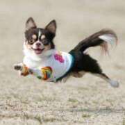 ヒメ日記 2025/10/31 09:15 投稿 志波 菜穂 30代40代50代と遊ぶなら博多人妻専科24時