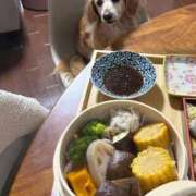 ヒメ日記 2025/10/31 18:32 投稿 志波 菜穂 30代40代50代と遊ぶなら博多人妻専科24時