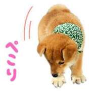 ヒメ日記 2025/10/31 20:42 投稿 志波 菜穂 30代40代50代と遊ぶなら博多人妻専科24時