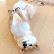 ヒメ日記 2025/11/02 09:30 投稿 志波 菜穂 30代40代50代と遊ぶなら博多人妻専科24時