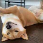 ヒメ日記 2025/11/03 09:30 投稿 志波 菜穂 30代40代50代と遊ぶなら博多人妻専科24時