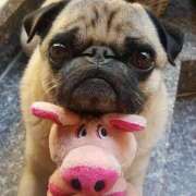 ヒメ日記 2025/11/09 09:42 投稿 志波 菜穂 30代40代50代と遊ぶなら博多人妻専科24時