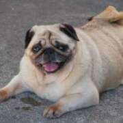 ヒメ日記 2025/11/30 11:01 投稿 志波 菜穂 30代40代50代と遊ぶなら博多人妻専科24時