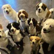 ヒメ日記 2025/11/30 12:03 投稿 志波 菜穂 30代40代50代と遊ぶなら博多人妻専科24時