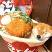 ヒメ日記 2025/11/30 19:49 投稿 志波 菜穂 30代40代50代と遊ぶなら博多人妻専科24時