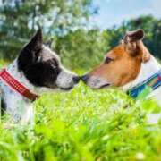 ヒメ日記 2025/11/30 22:01 投稿 志波 菜穂 30代40代50代と遊ぶなら博多人妻専科24時