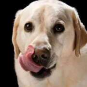 ヒメ日記 2025/12/04 18:30 投稿 志波 菜穂 30代40代50代と遊ぶなら博多人妻専科24時