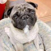 ヒメ日記 2025/12/05 08:15 投稿 志波 菜穂 30代40代50代と遊ぶなら博多人妻専科24時