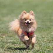 ヒメ日記 2025/12/06 09:15 投稿 志波 菜穂 30代40代50代と遊ぶなら博多人妻専科24時