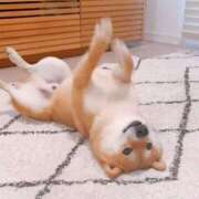 ヒメ日記 2025/12/17 07:26 投稿 志波 菜穂 30代40代50代と遊ぶなら博多人妻専科24時