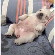 志波 菜穂 出勤するよ 30代40代50代と遊ぶなら博多人妻専科24時