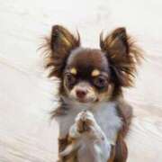 志波 菜穂 志波です‼︎ 30代40代50代と遊ぶなら博多人妻専科24時