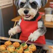 ヒメ日記 2026/03/02 20:26 投稿 志波 菜穂 30代40代50代と遊ぶなら博多人妻専科24時