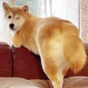 ヒメ日記 2026/03/04 18:29 投稿 志波 菜穂 30代40代50代と遊ぶなら博多人妻専科24時